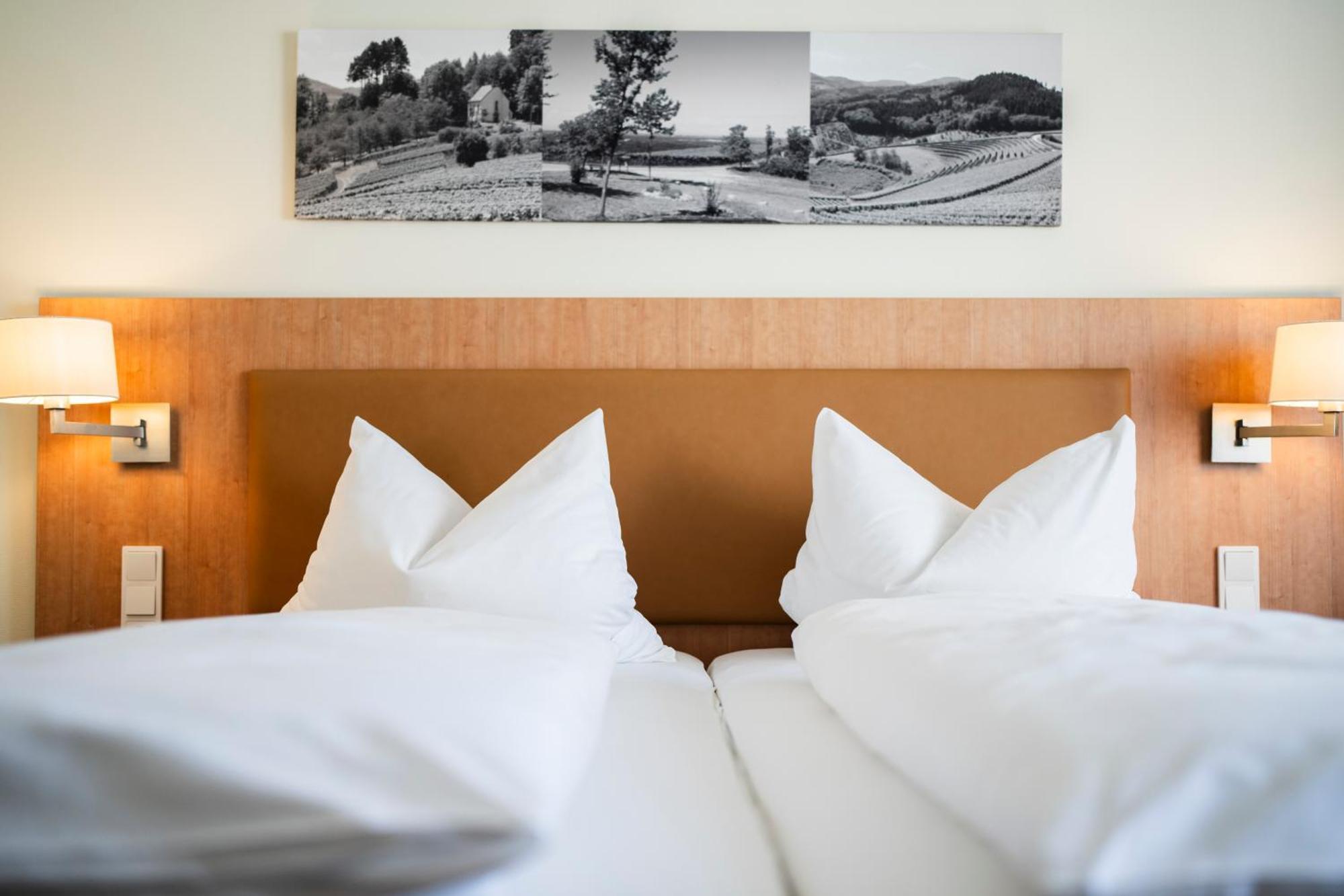 Hotel-Gasthof Rose Oberkirch  Eksteriør billede