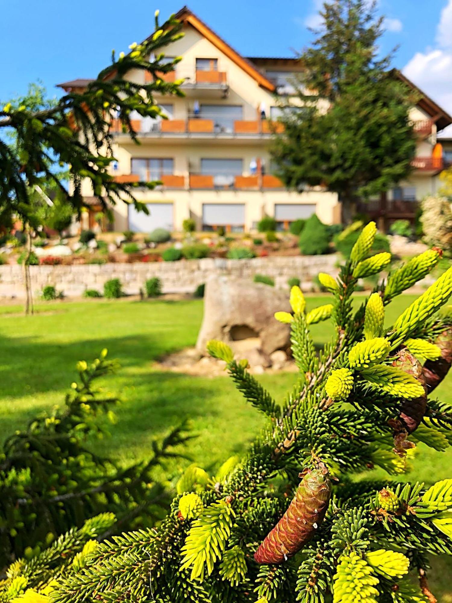 Hotel-Gasthof Rose Oberkirch  Eksteriør billede