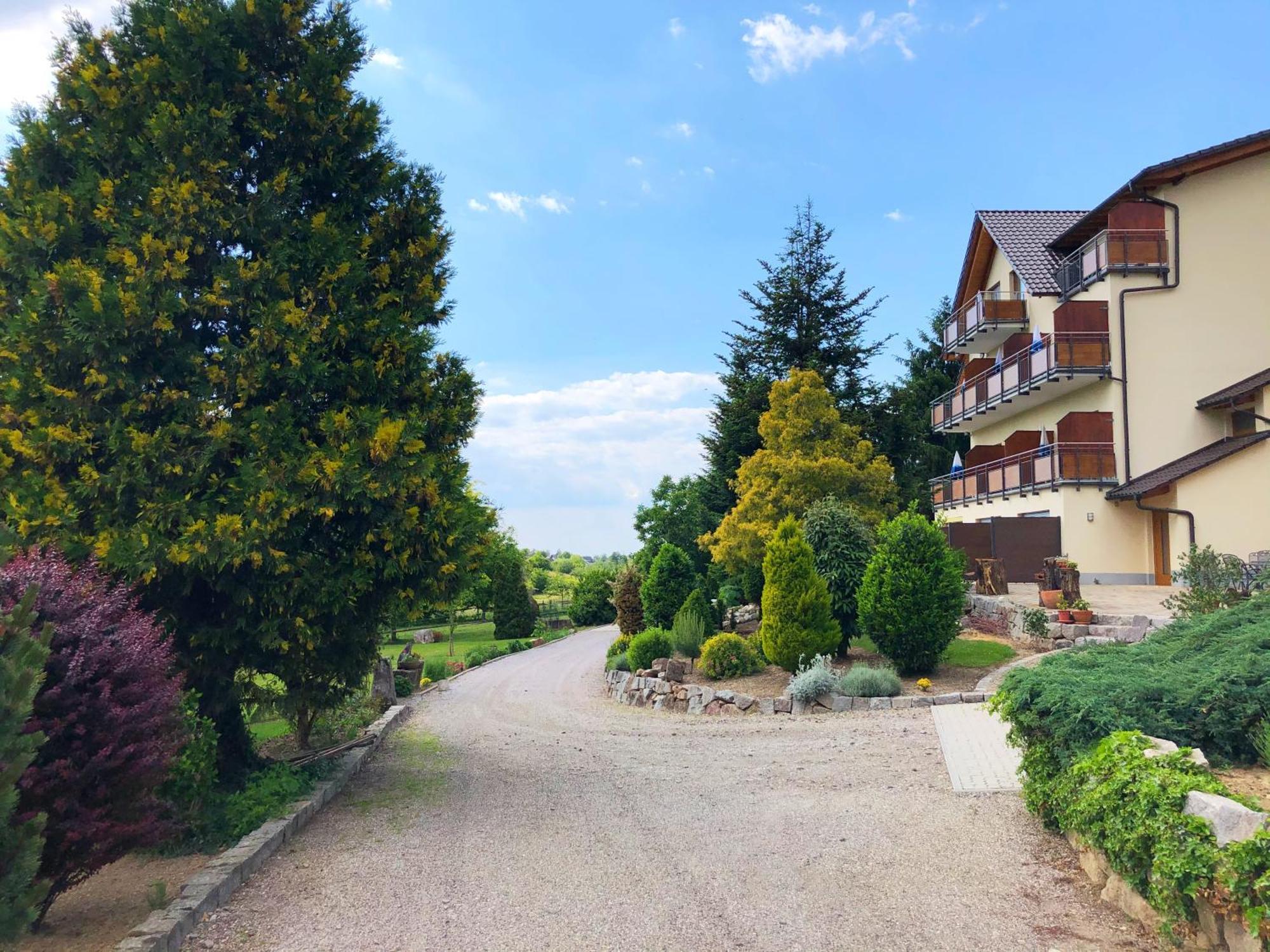 Hotel-Gasthof Rose Oberkirch  Eksteriør billede