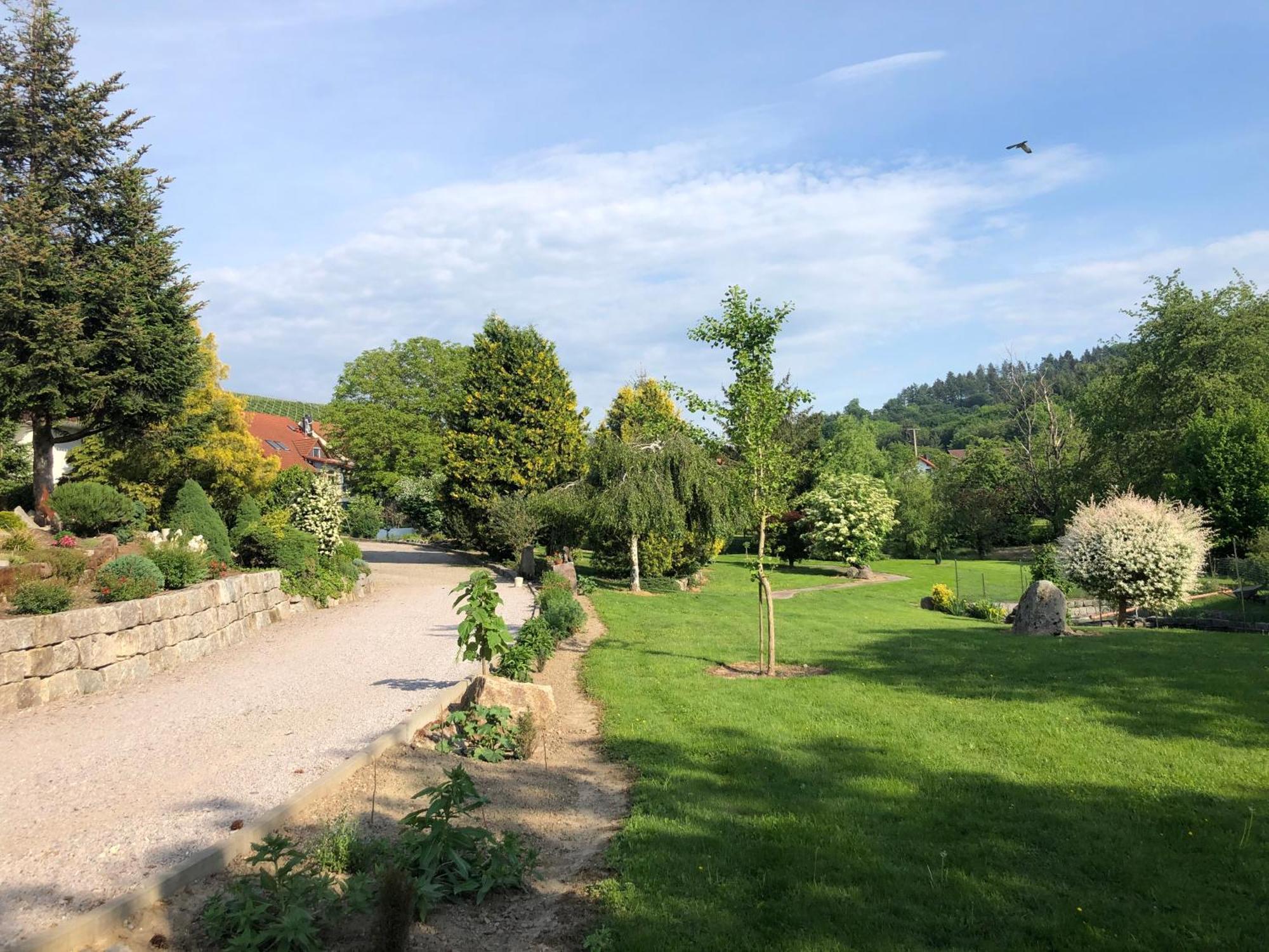 Hotel-Gasthof Rose Oberkirch  Eksteriør billede